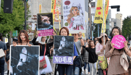 Fur Free Week Japan